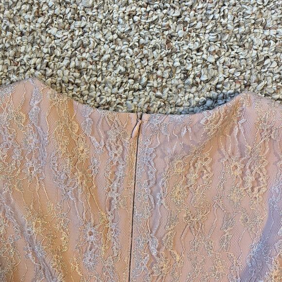 NWT JJs House Womens Dress Size S Pink Feminine Romantic Ballerina Lace - Picture 4 of 9